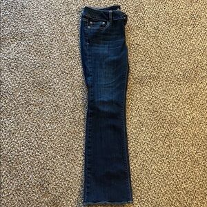 American Eagle Artist Flare Jeans